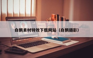 黔西南白鹅素材特效下载网站（白鹅摄影）